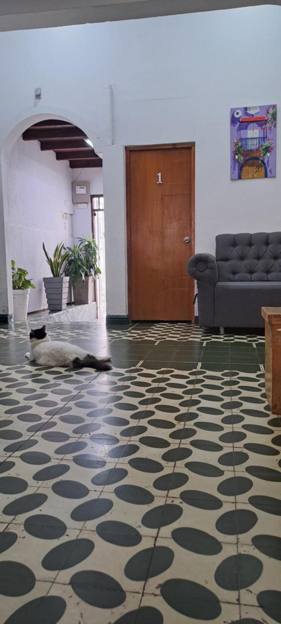 Guest house Casa Lara