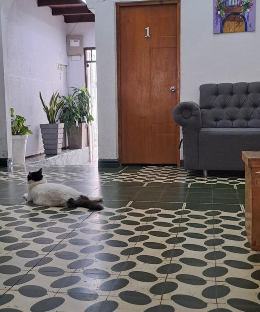 Pensión Casa Lara
